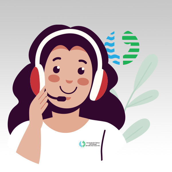 WeCreativez WhatsApp Support